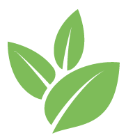 Shrubbery Trimming