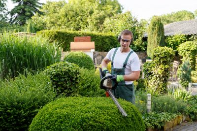 Shrubbery Trimming