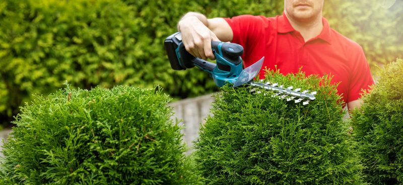 Shrubbery Trimming