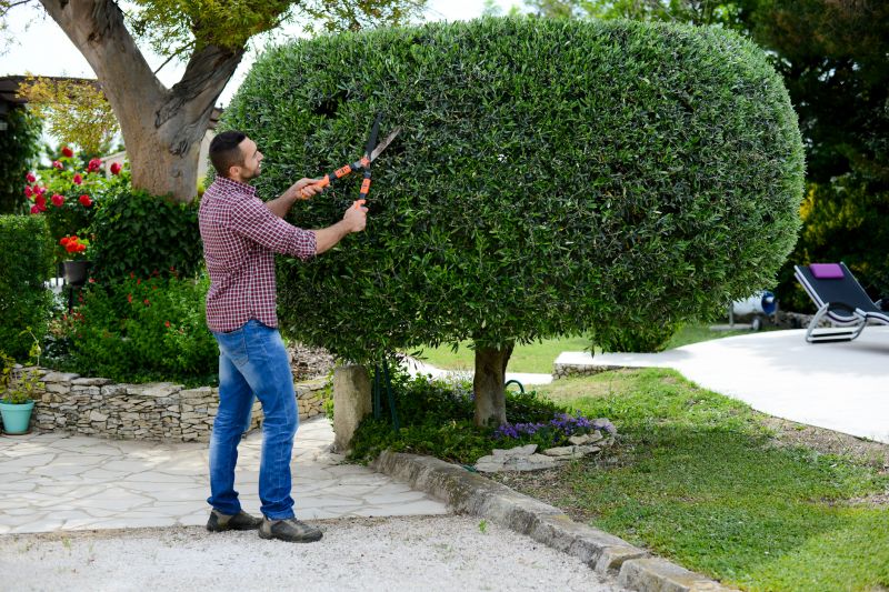 Shrubbery Trimming