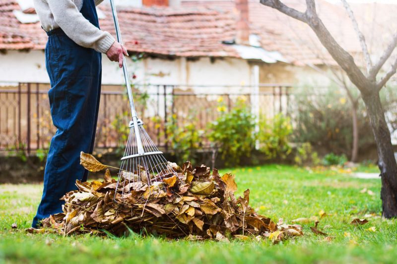 Yard with Fallen Leaves