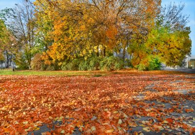 Autumn Landscape Maintenance