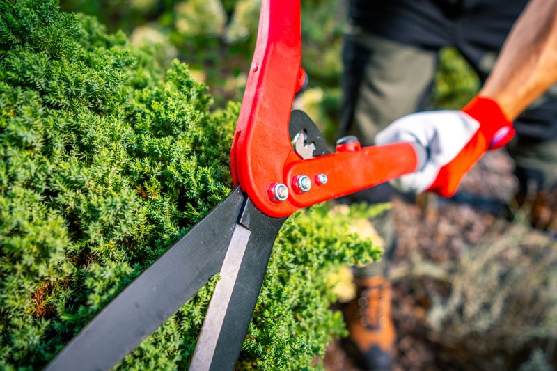 Keeps shrubs from blocking views or paths