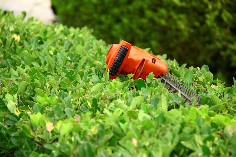 Neat, well-shaped plants enhance your landscape