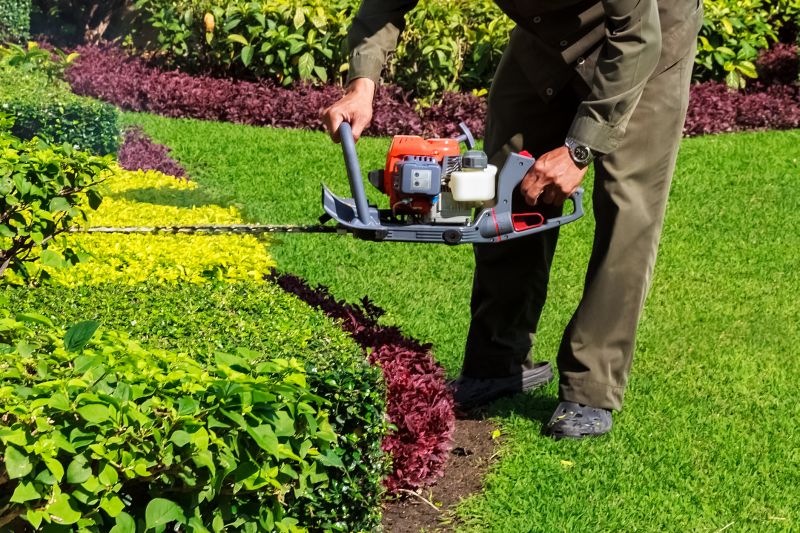 Promotes healthy, vigorous plant development